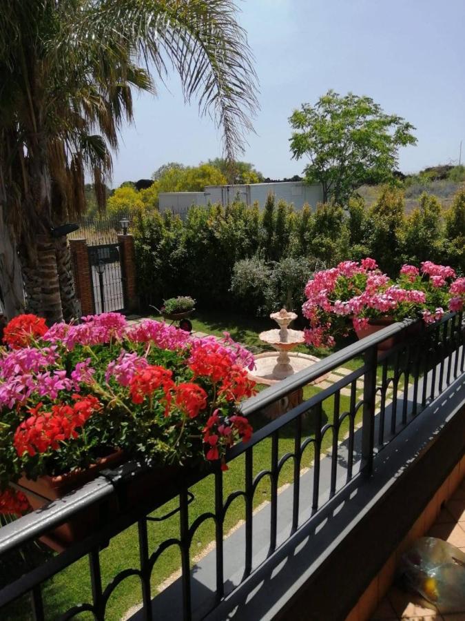 B&B Villa Salome' San Pietro Clarenza Dış mekan fotoğraf